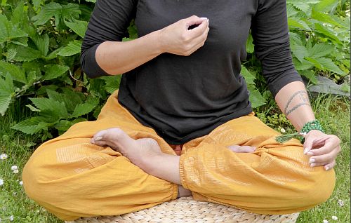 Bild "Chakren Malas:Mudra-Herzchakra-1-500.jpg"