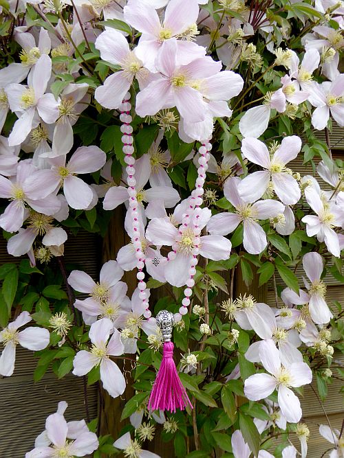 Bild "Willkommen:Blumen-Mala-1-500.jpg"